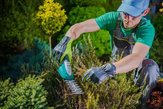 landscaping services Green Springs